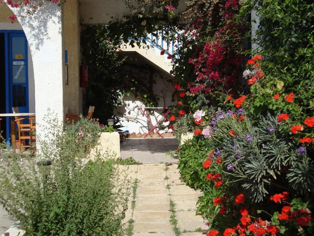 Creta Sun Hotel Studios Агия-Пелагия  Экстерьер фото